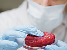 Сальмонеллу и листерии обнаружили в мясных продуктах из Челябинской области и Приморья