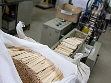 Из Кировской области в Китай на 15% увеличился экспорт палочек для мороженого