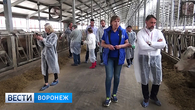 Датские бизнесмены побывали на «родине вкусного молока» в Воронежской области
