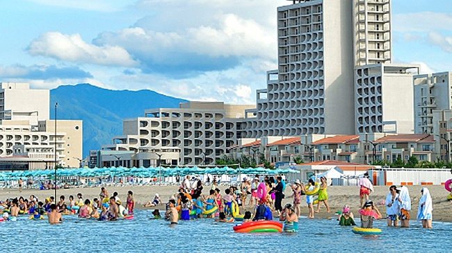 Трудовая партия Кореи: история, цели, задачи