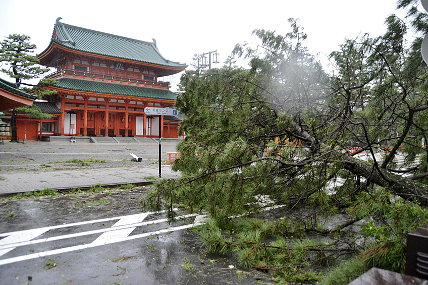  Столицу страны тайфун не задел, в Токио наблюдались только сильные ветры и дождь 