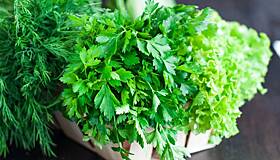 Гипертоников призвали добавить в рацион петрушку, укроп и листовой салат