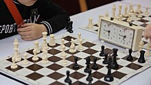 Турниром по французскому боксу и «молниеносным» шахматам отметили 23 февраля вологодские спортсмены