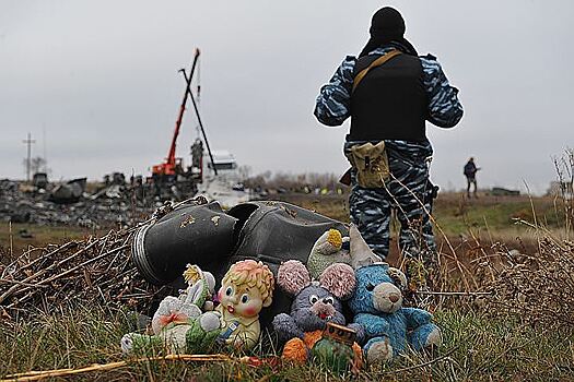 "В катастрофе виновна Украина"