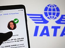Политолог негативно оценил идею внедрения Travel Pass «Аэрофлотом»