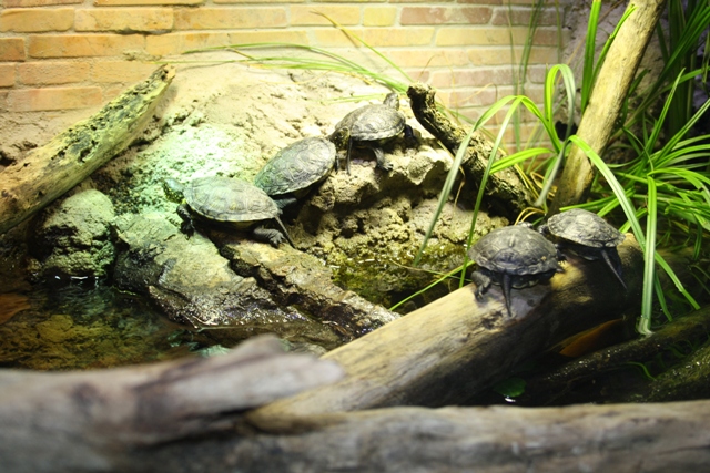 Аквариум Sea Life Speyer, Шпайер, Германия