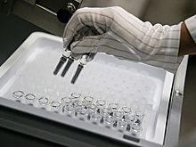 Новосибирские врачи прогнозируют возвращение вируса H1N1, вызвавшего эпидемию в 2016 году