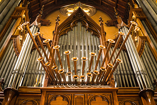 Самый большой концертный орган Санкт-Петербурга зазвучал спустя 10 лет