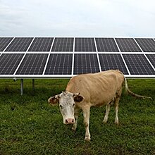 Радиоактивная «зеленая энергия»: На ЧАЭС поставят солнечные батареи за €1 млрд