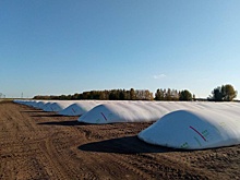 В Татарстане открылась первая демонстрационная площадка технологии хранения зерна в полимерных рукавах