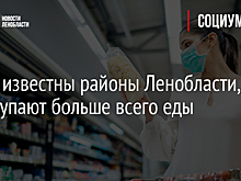 Стали известны районы Ленобласти, где скупают больше всего еды