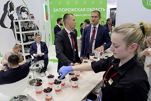 В Запорожской области определили стратегию развития на ближайшие десять лет