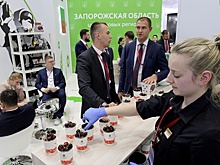 В Запорожской области определили стратегию развития на ближайшие десять лет