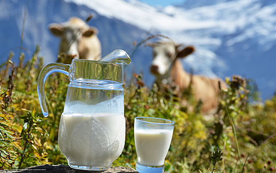 Молоко: как оно влияет на организм