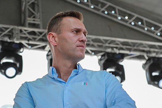 Комитет бундестага оценит ситуацию с Навальным