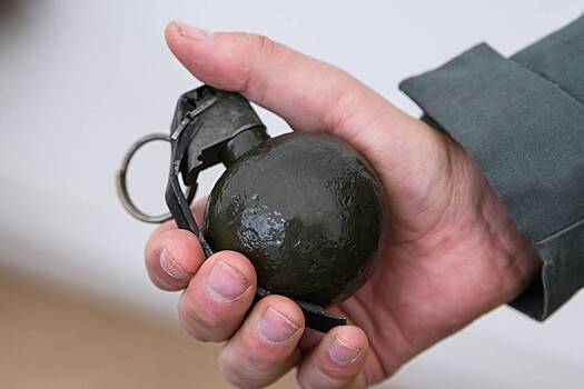 Украинец решил сделать предложение любимой кольцом от боевой гранаты и попал в тюрьму