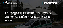 Петербуржец выплатил 1 млн рублей алиментов в обмен на водительские права
