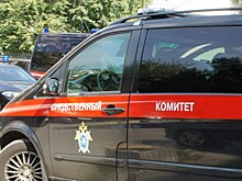 В деле о резне в московском колледже всплыло домашнее насилие