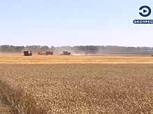 Пензенским сельхозпроизводителям окажут господдержку