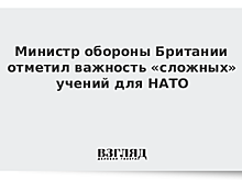 Министр обороны Британии отметил важность «сложных» учений для НАТО
