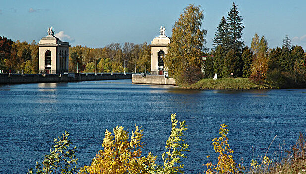 Масштабное мозаичное панно появится в Дубне