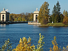 Масштабное мозаичное панно появится в Дубне