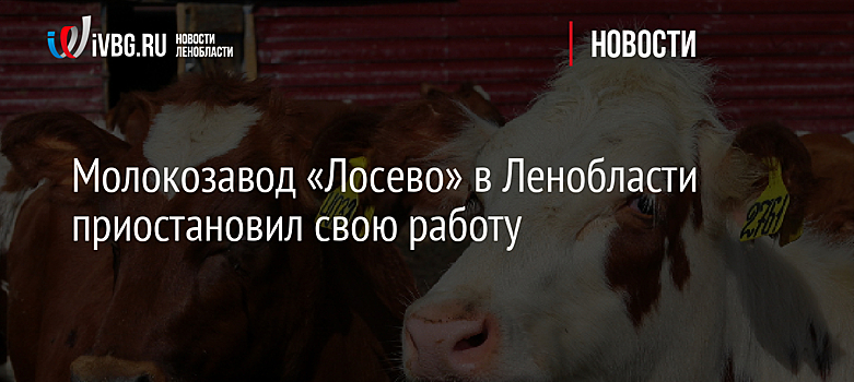 Молокозавод «Лосево» в Ленобласти приостановил свою работу