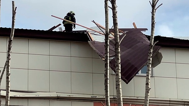 Девятибалльный шторм повалил деревья и остановки в Москве
