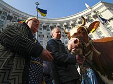 «Геноцид населения»: Украине предрекли голодные игры