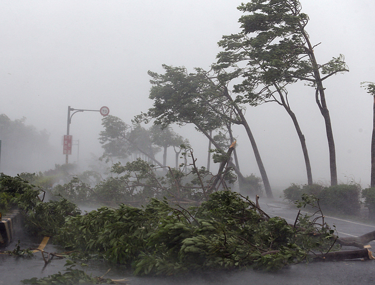 «Меранти» обрушился на округ Сянъань города Сямэнь. Порывы ветра достигали 48 метров в секунду