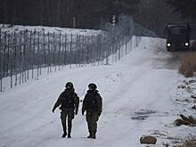 Пограничники вернули на родину сбежавшего в Белоруссию из европейской страны пса
