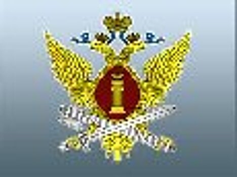 Представители ФСИН России приняли участие в онлайн-заседании Форума общественности России и Германии «Петербургский диалог»