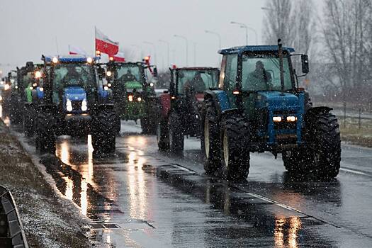 Власти Польши поддержали общепольский протест фермеров