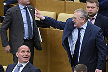 Жириновского призвали извиниться за обещание расстреливать и вешать депутатов
