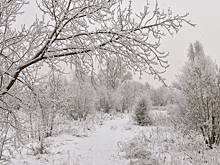 Мощные морозы накрыли Кузбасс: где оказалось холоднее всего