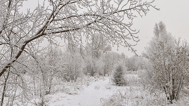 Мощные морозы накрыли Кузбасс: где оказалось холоднее всего
