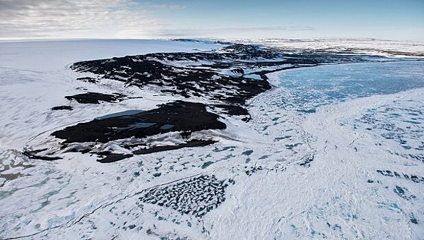 Самый большой в мире заповедник создадут в Антарктике