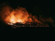 На территории самарских лесов усилены меры противопожарной безопасности