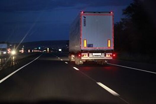 В Новоспасском районе фура насмерть сбила пешехода и скрылась