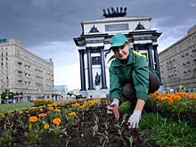 Массовая высадка цветов началась в столице