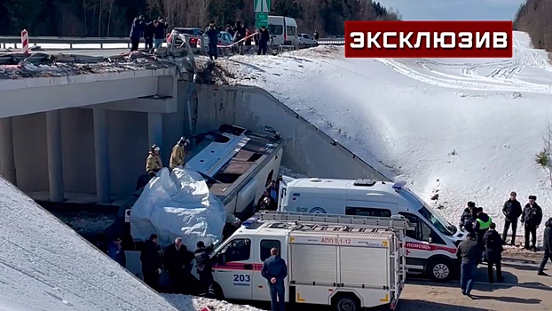 «Через люк удалось выйти»: пассажирка о ДТП с вылетевшим с эстакады автобусом в Подмосковье