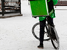 Раскрыта средняя зарплата курьеров в России