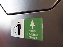 Минприроды предложит закрепить законом цвета мусорных баков