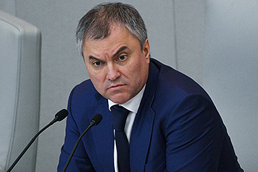 Володин осадил Ткачева и напомнил ему об источнике власти в России