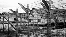 «10 лет в лагерях, но таких ужасов не видел»: опубликованы секретные документы о финских концлагерях в Карелии