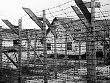 «10 лет в лагерях, но таких ужасов не видел»: опубликованы секретные документы о финских концлагерях в Карелии