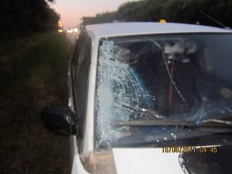 В Рязанском районе житель Мордовии устроил смертельное ДТП