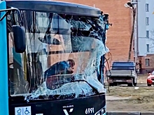 Двое взрослых и ребенок пострадали в ДТП с участием двух автобусов в Ленобласти