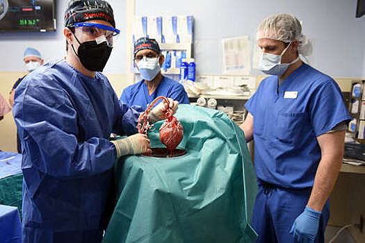 Resuscitation: часть пациентов ощущают отделение от тела при остановке сердца