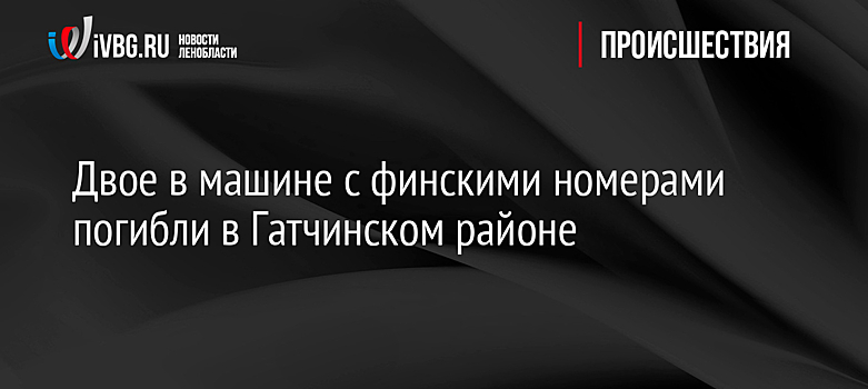Двое в машине с финскими номерами погибли в Гатчинском районе
